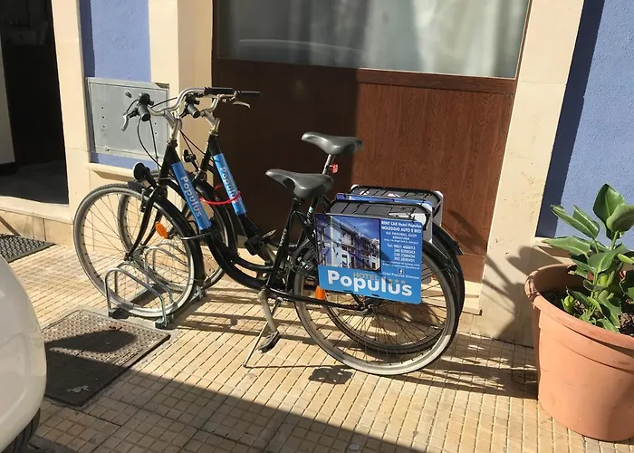 Populus Συρακούσες