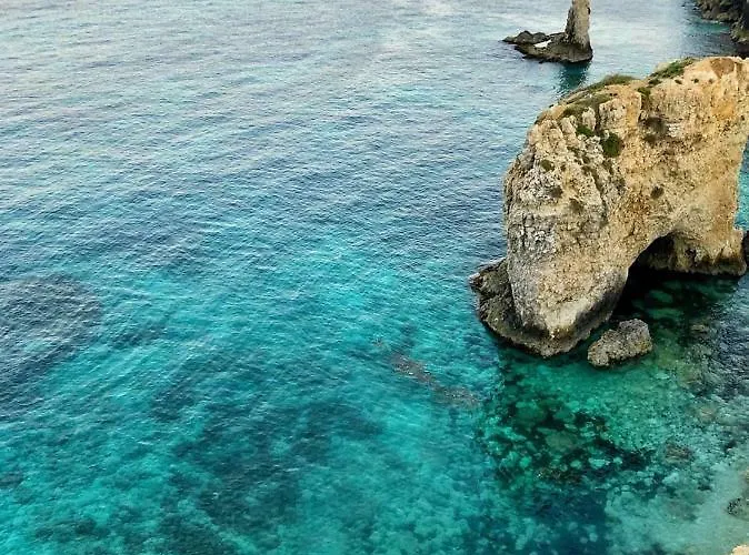 Populus Couette-café