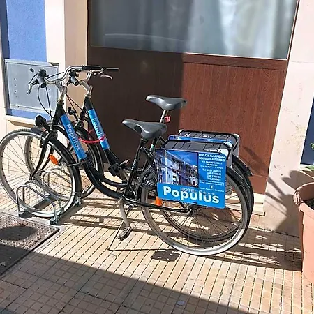 Populus 3*