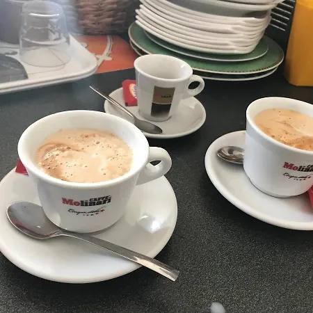 Populus 시라쿠사