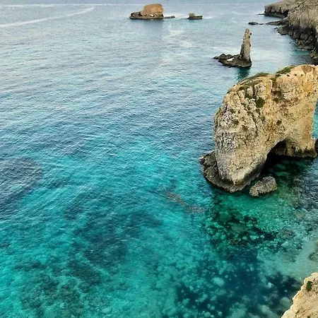 Populus Nocleg ze śniadaniem